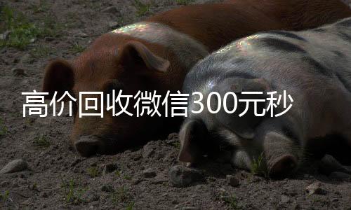 高价回收微信30高价收v0元秒结（高价24小时回收微信）
